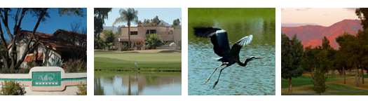 The Villas at Tucson National